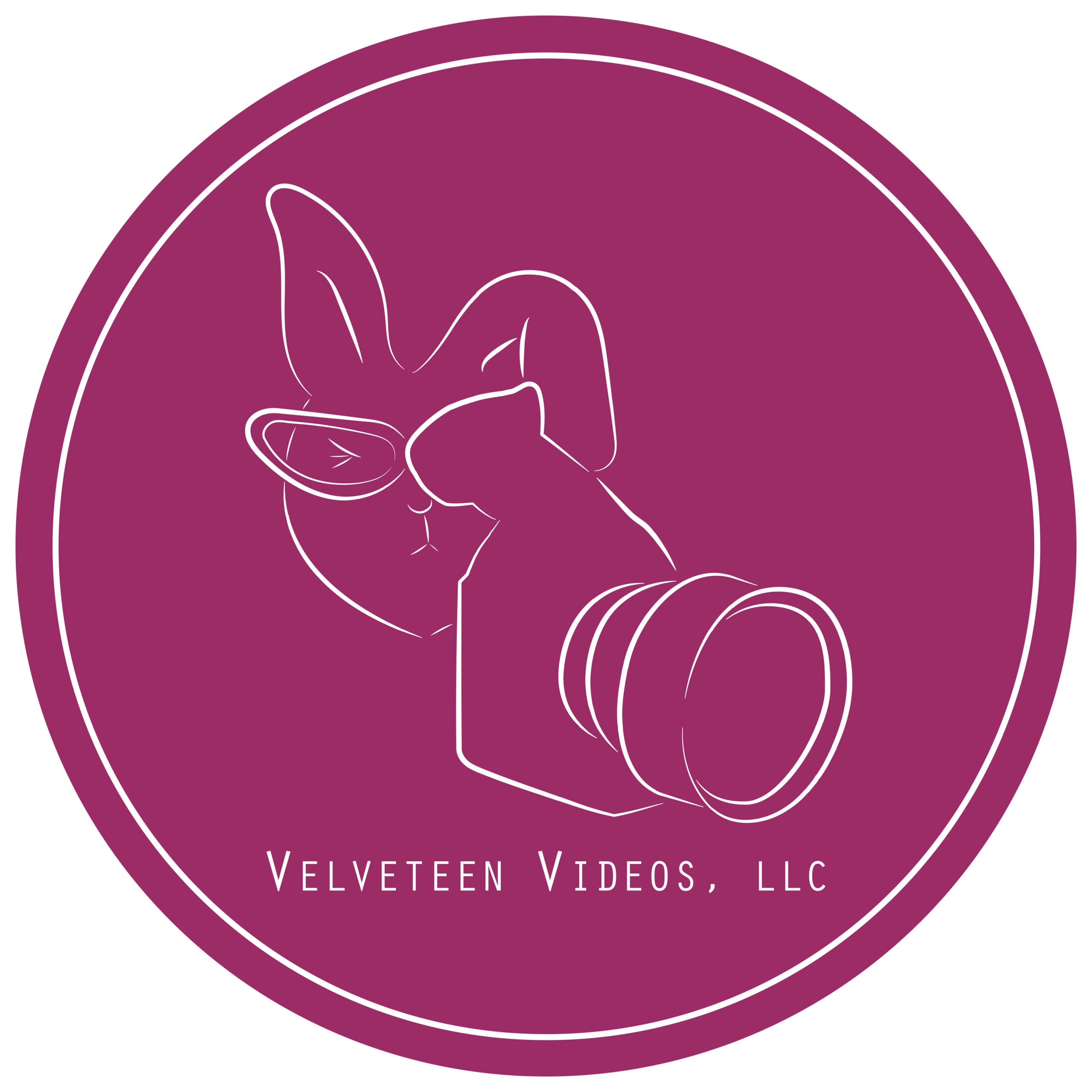 Velveteen Videos – Motion Graphics & Animation